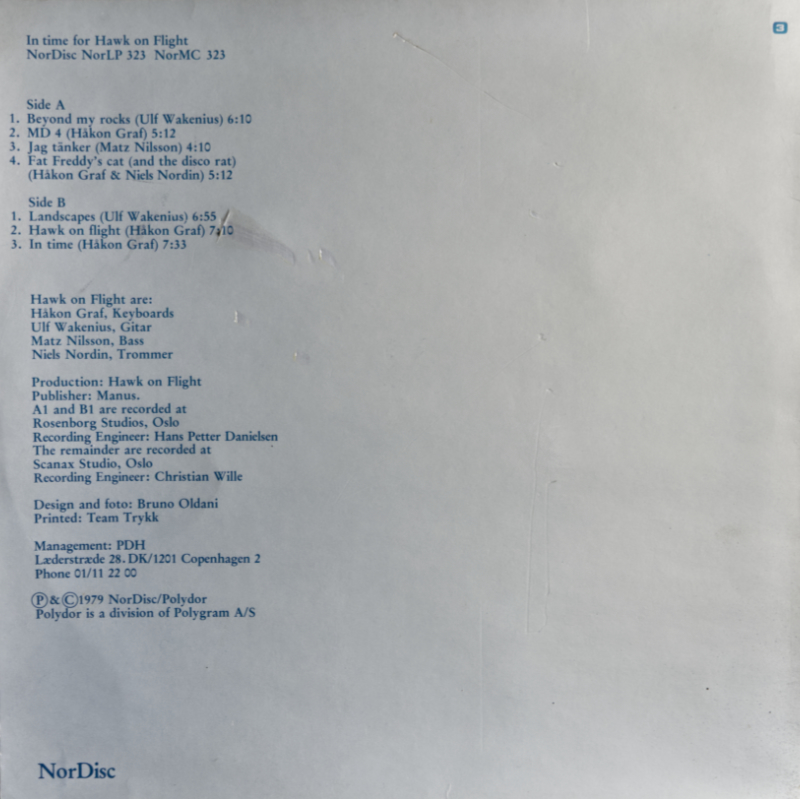 In Time For Hawk On Flight BACK